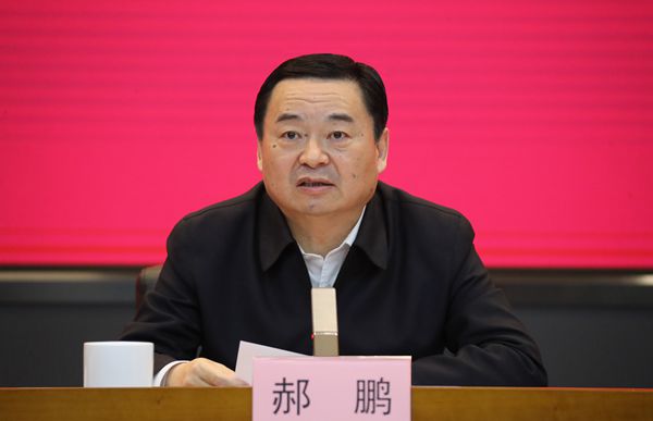 郝鵬、國資、央企、國資委、書記、主任、國企、企業(yè)改革